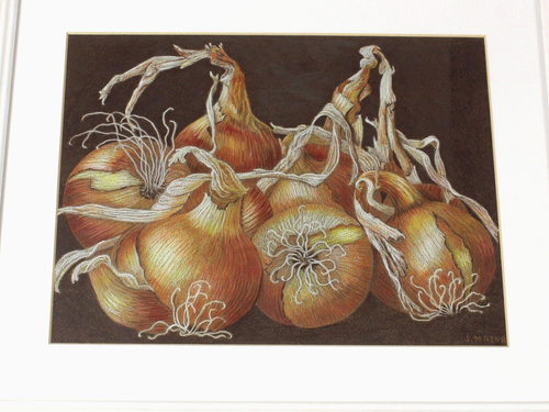 ONIONS Judith Mazur original coloured pencil still life framed KITCHEN Boughton - Picture 3 of 9