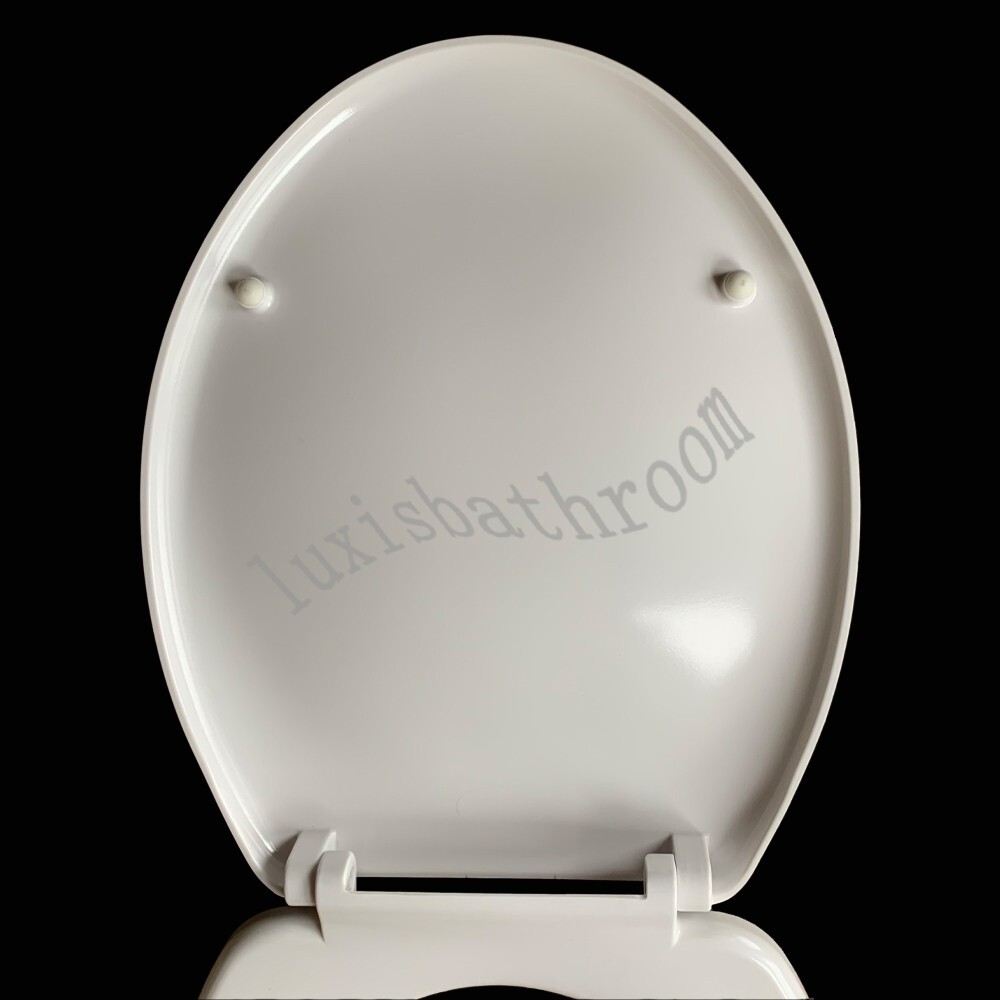 Heavy Duty Duroplast Toilet Seat Stainless Steel Hinges for Caroma