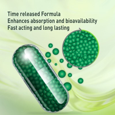 Your Nutritionist Slow Multi Capsule, Time Released   60 counts, 60 days