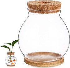 Desktop Hydroponic Fish Bowl - Clear Glass Fish Tank with Bamboo Cushion