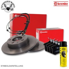 BREMBO Bremsensatz Bremsscheiben Bremsbelag + Bremsenreiniger hinten für MINI