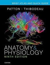Anatomy and Physiology : Brief Atlas and Quick Guide for Anatomy