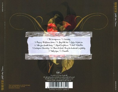YOU ME AT SIX HOLD ME DOWN NEW CD