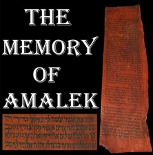 TORAH SCROLL BIBLE VELLUM MANUSCRIPT FRAGMENT 300 YRS OLD YEMEN The erase Amalek