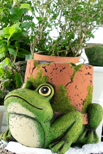 Outdoor Animal Garden Planter Cement Frog-Shaped with Flower Pot Decoration - Picture 6 of 16