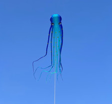 3D eyes 15m blue 1 Line Stunt Parafoil Octopus POWER Sport Kite outdoor toy