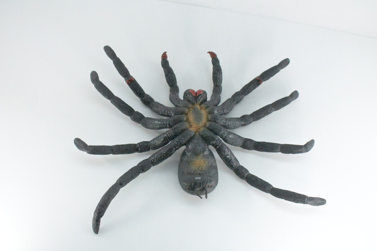 Realistic Tarantula Spider Toy Large Hand Painted, Rubber Model 14
