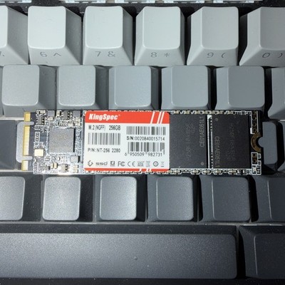 KingSpec 256GB NE-256 2280 M.2 NVMe SSD Solid State Drive