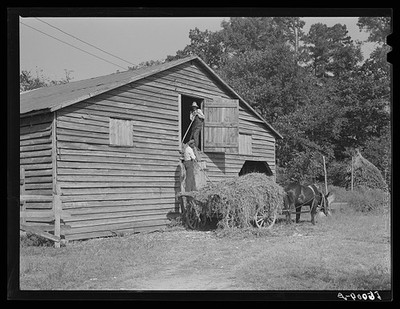 Chapel Hill North Carolina 1940 Peavine Hay Barn Loft J.V. Harris Farm