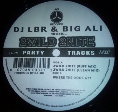 DJ LBR & Big Ali - 2wild 2nite