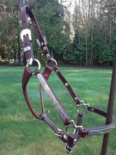 Circle Y Alpaca Silver Show Halter Yearling W/Tory Leather Lead