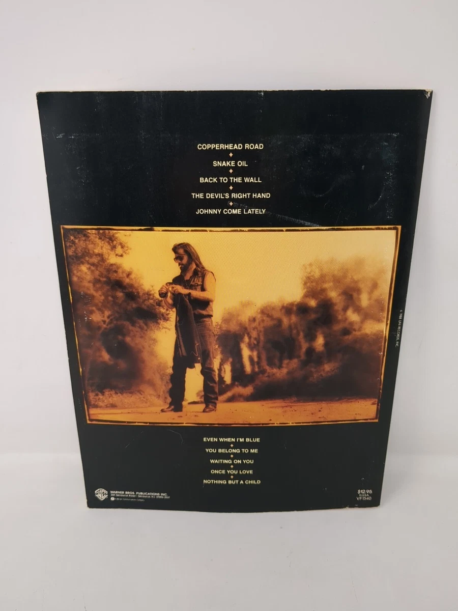 Copperhead Road Guitar Chords