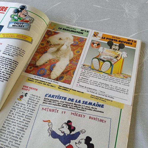 Le journal de Mickey # 2071 – 28 février 1992 – avec fiches - Picture 2 of 2