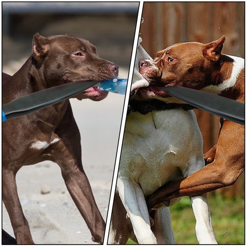 2 Pack Dog Sled Stick Puppy Toy Pet Professional Sticks Toys Nylon Rod