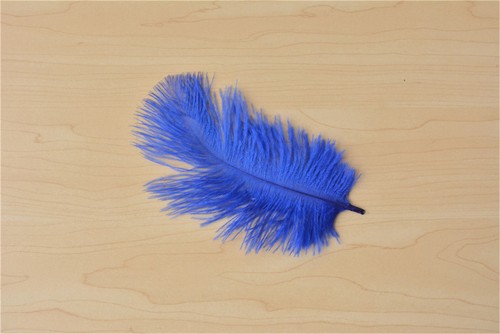 Quality Ostrich Feather Plume Wedding Party Decor Costume Craft 17 Colours 10pcs - Picture 32 of 38