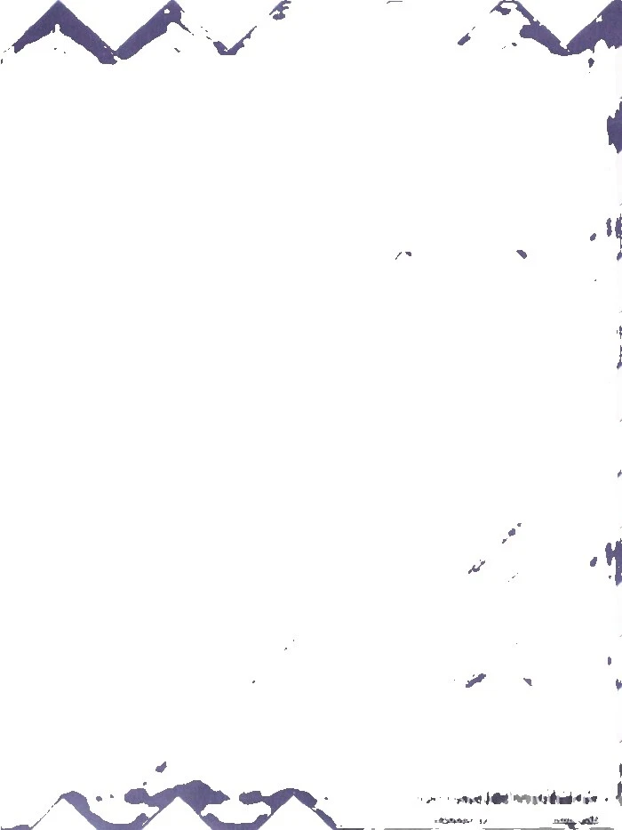 Polycotton Fabric Chevron