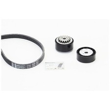 Keilrippenriemensatz 24547650 für Renault Twingo 1 C06