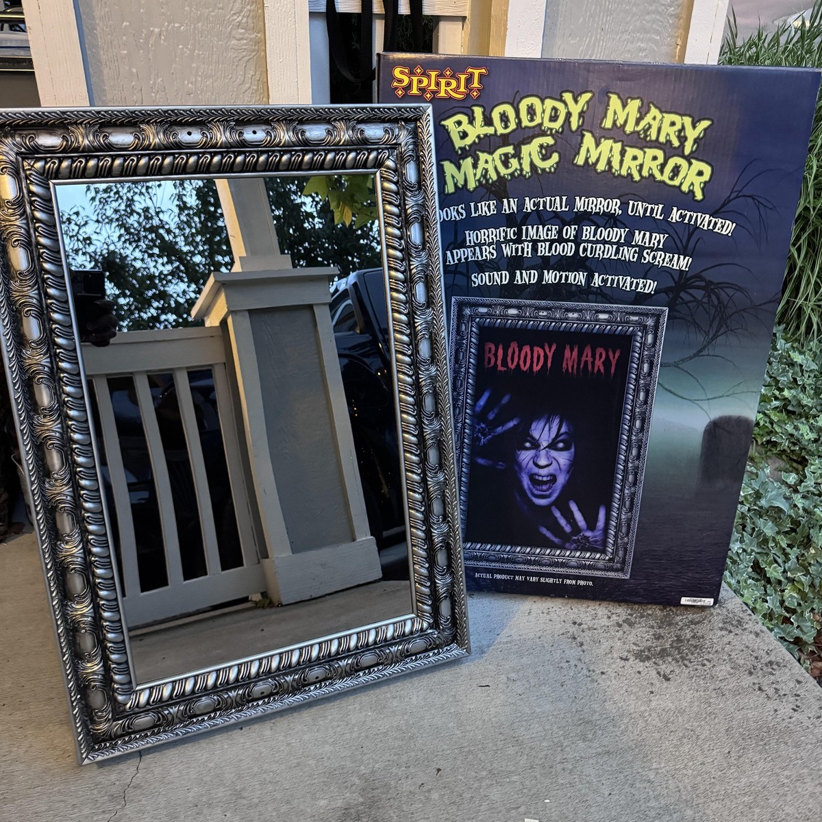 Bloody Mary Mirror
