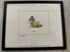Framed Lithograph Reprint  Garden Flowers by Sallie Middleton Vintage 8x10