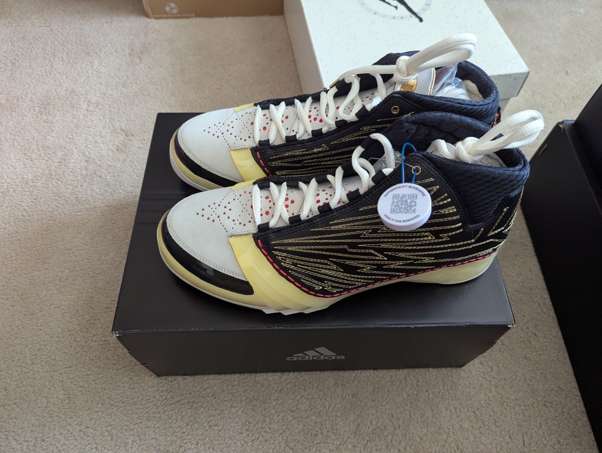 Size 11 - Titan x Air Jordan 23 Retro SP 10th Anniversary for sale