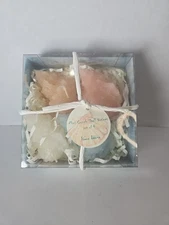 Vance Kitira Set of Four Mini Conch Shell Votives Candles 3.25”x1.75”x2” Pink