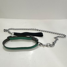 Green Adjustable Nylon Standard Dog Collar w/ Buckle Chain Lead