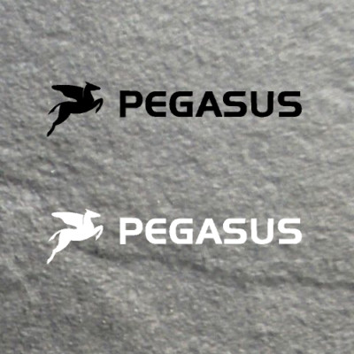 2 x PEGASUS Aufkleber wetterfest   Sticker   Schriftzug   verschiedene Größen