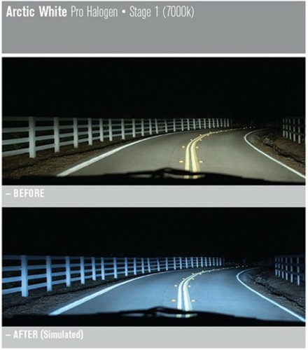 Nokya 7000K White H11 Nok7218 80W Two Bulbs Head Light Low Beam Replacement Fit - Picture 6 of 12
