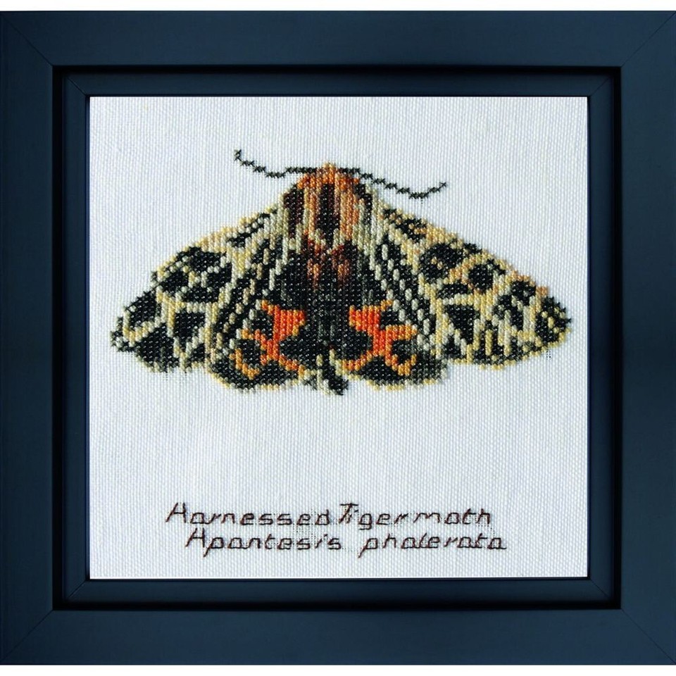 Kit a punto croce Farfalla Di Notte Tigre 569A thea gouverneur Aida eBay