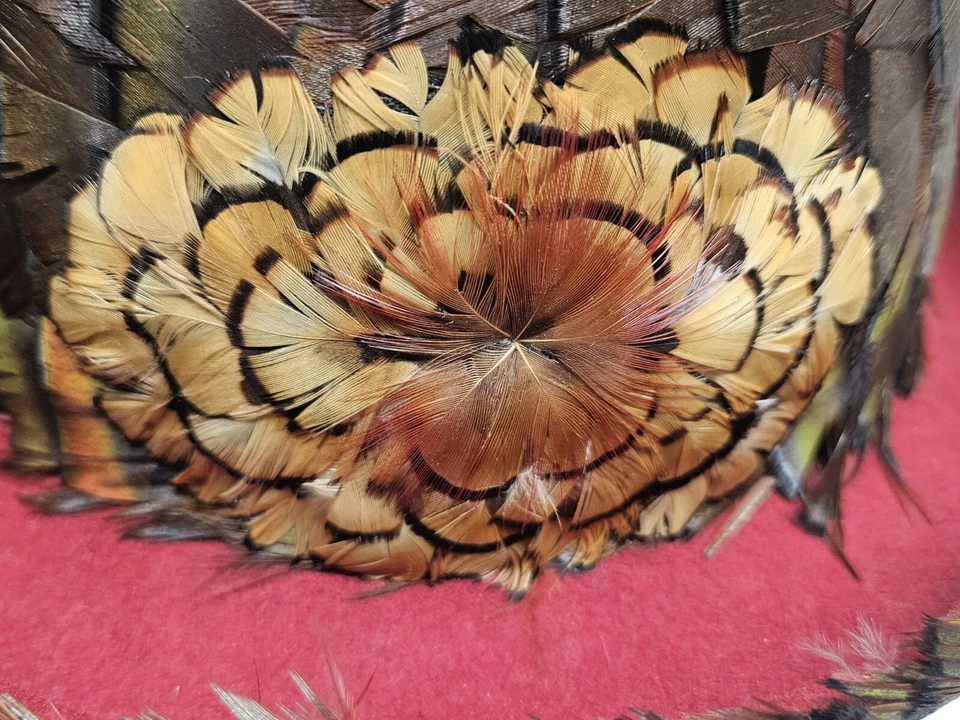 Albrizio New York Exquisito Pluma Sobre Fieltro Cubo Sombrero De Colección Para Mujer Ann Suave Foto 4 de 4