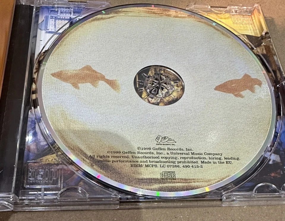 Counting Crows Album - this desert life CD, Pop, Soul, Rock, Radio, Player, Disc - Bild 3 von 3