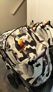 bugaboo donkey we are handsome