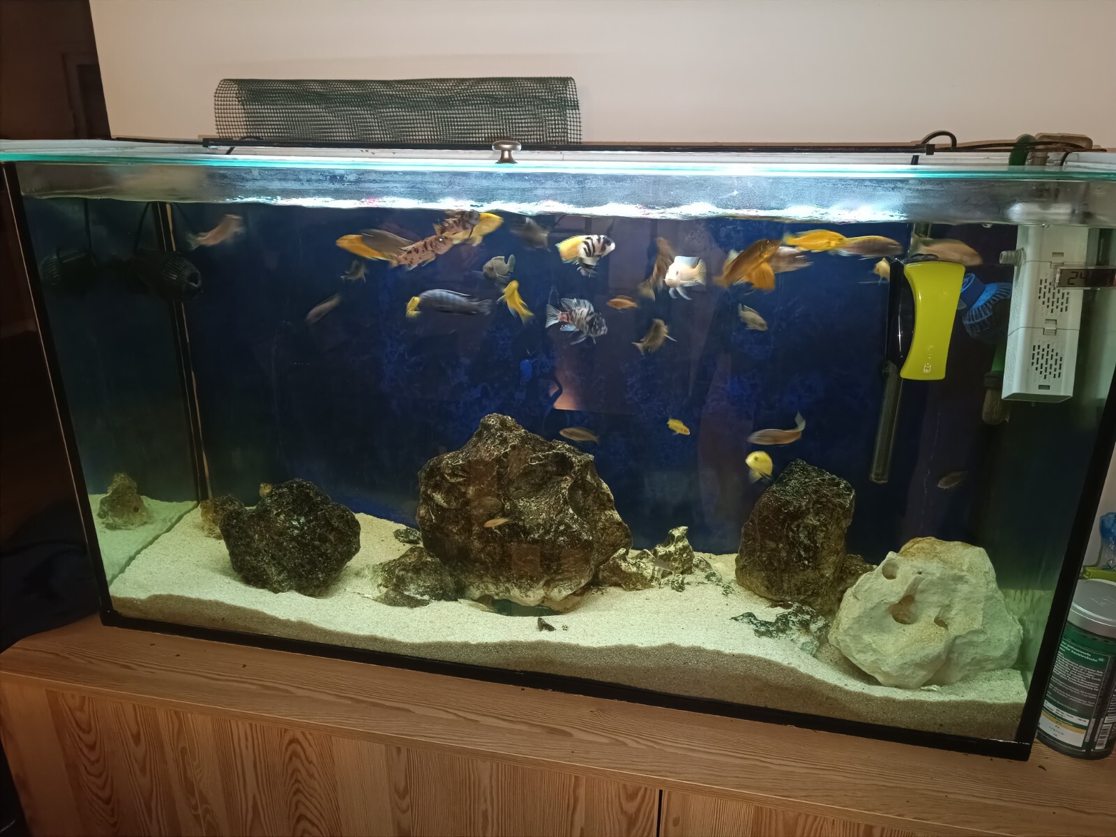 acuario de 270 litros de agua dulce, 120/60/40 cristal de seguridad