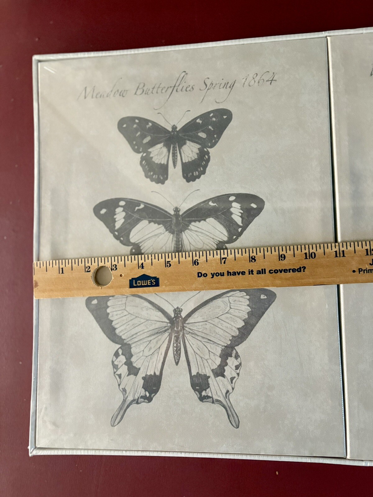 Picture 8 of 21