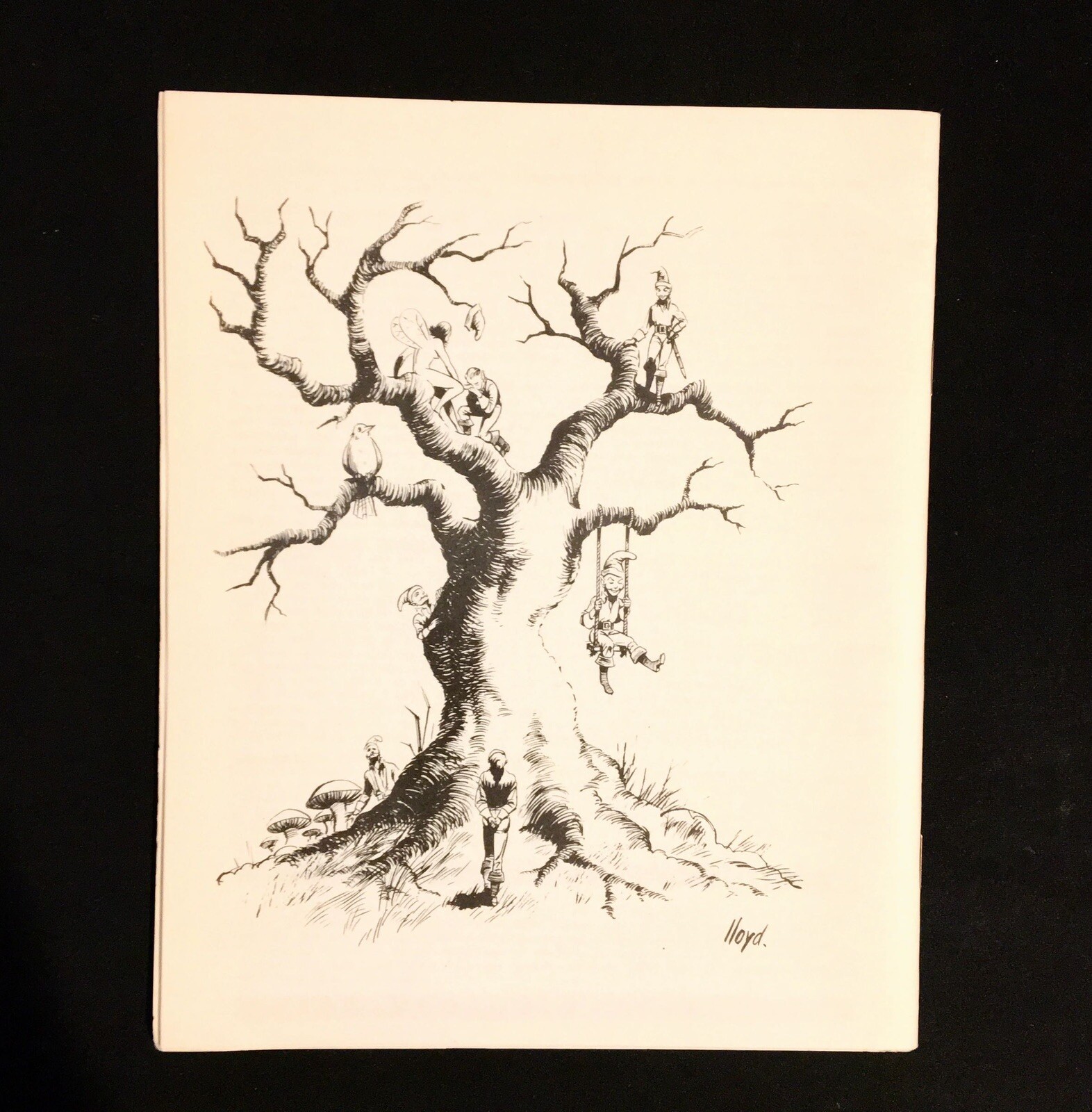 Picture 5 of 5