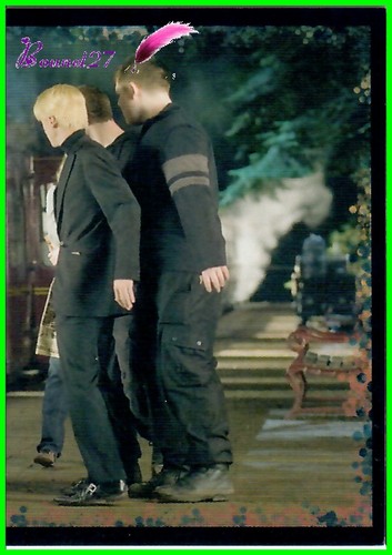 Image PANINI HARRY POTTER et l'Ordre du Phoenix - and the order of the Phoenix - Bild 23 von 76