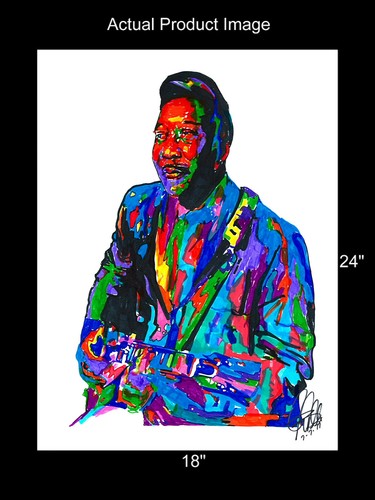 Muddy Waters Singer Guitar Delta Blues Music Poster Print Wall Art 18x24 - Picture 3 of 7