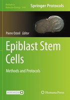 Epiblast Stem Cells | Methods And Protocols | Pierre Osteil | Taschenbuch | Xi