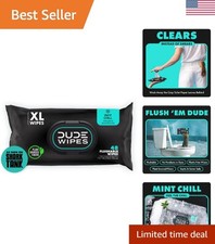 Wipes - Flushable Wipes - 1 Pack, 48 Count - Mint Chill - Vitamin-E, Aloe, Eu...