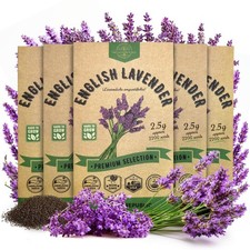 5-Pack English Lavender Seeds 12.50G