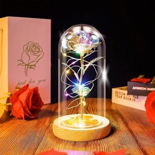 Light Up Flower Rose in Glass Dome Christmas Gift Birthday Gift For Women Friend