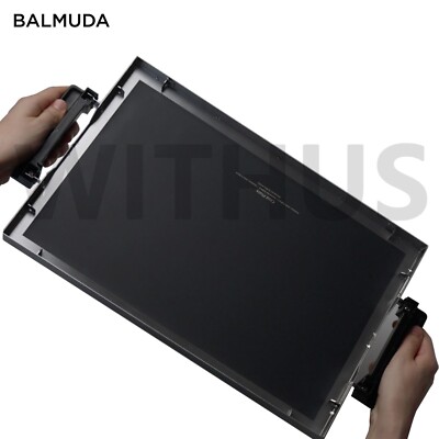 BALMUDA The Plate Pro Stainless Steel Hot Plate K10A-BK AC