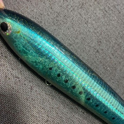 Carpenter Gamma LB-BC-γ 60-180 Jigging Casting Used | eBay
