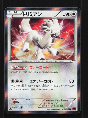 Furfrou 053/060 NM Collection Y Japanese Pokemon Card TCG