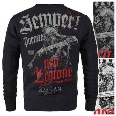 Herren Jumper Pullover Sweatshirt Wikinger Valhalla Schwert Paratus BC412