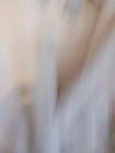 Bild 6 von 21