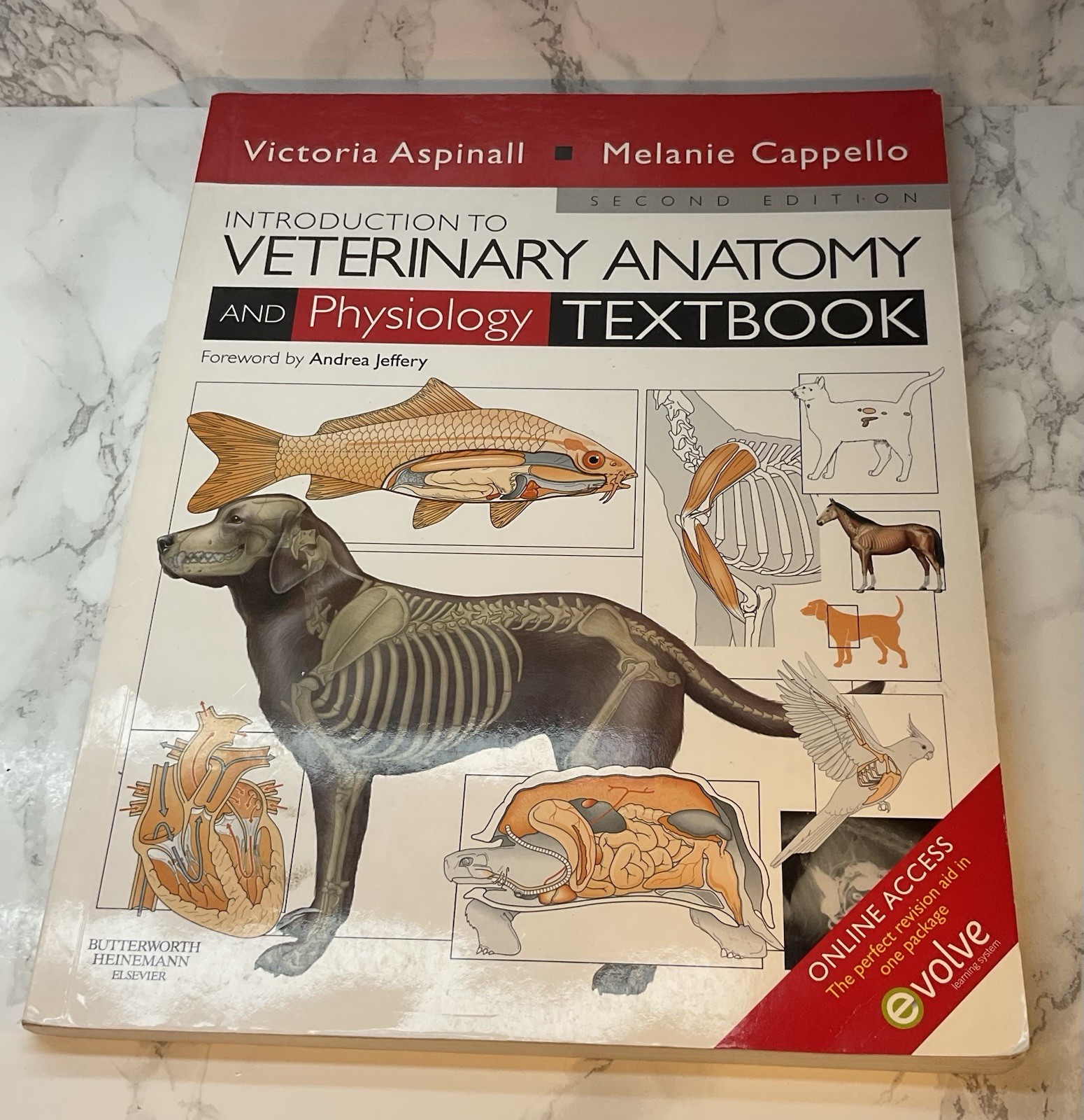 Introduction to Veterinary Anatomy and Physiology - Aspinall, Capello 2nd Ed