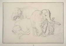 Rembrandt (after): Three Elephants, LITHOGRAPH, 1923