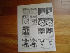 1981 First Run Fleer ERROR Discrepancy Check List