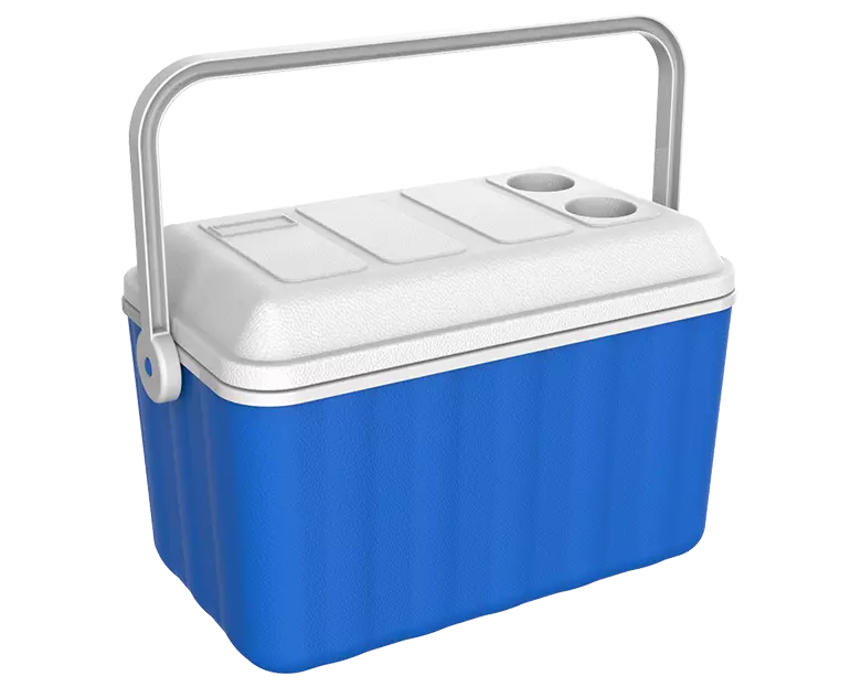 Outdoor food cooler 2025